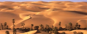 Baharyia oasis
