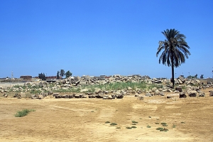 Behbeit-Hagar