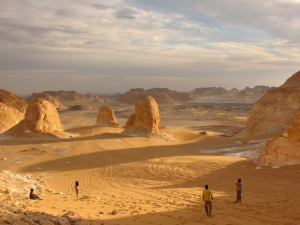 Desert Safari Baharyia and farafra oasis 5 days