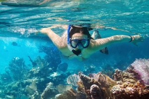 Classic History Alexandria red Sea Tours