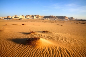 Western Desert