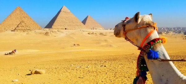 Egypt overland Tours