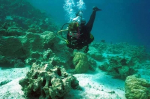 Classic Egypt History Red Sea Tours