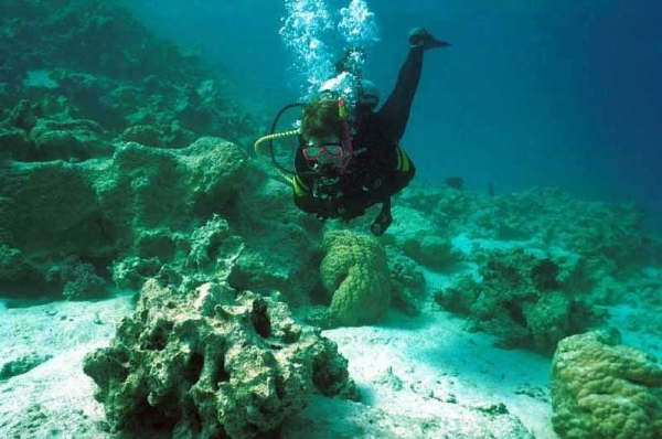 Classic Egypt History Red Sea Tours