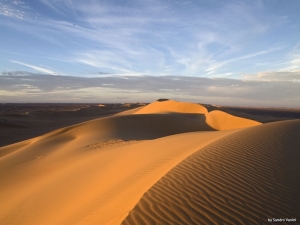 Desert Walking Safari Trip 7 days