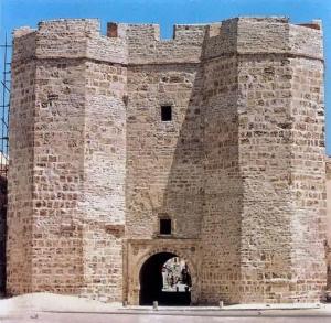 The Fatimid Period